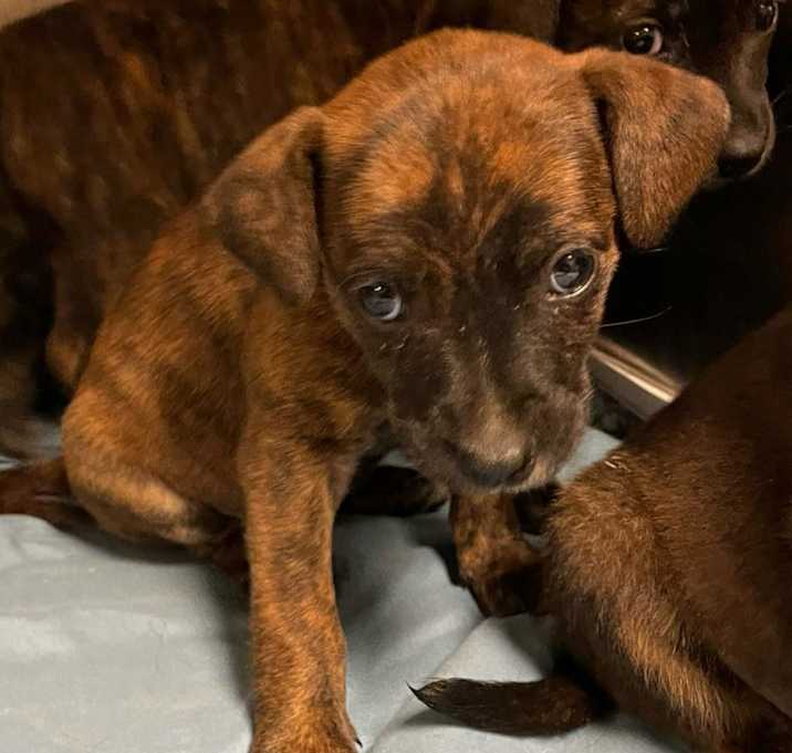 Photo of Soren- 042603S