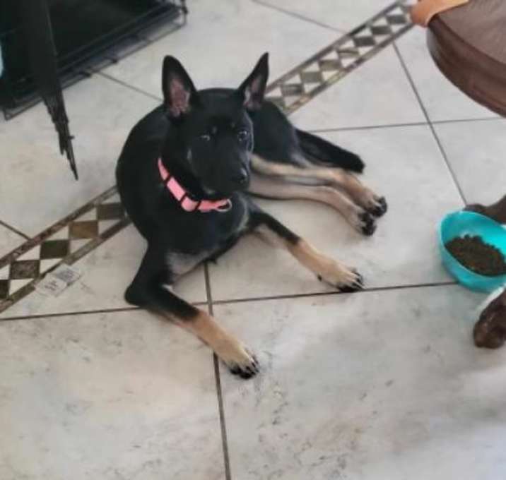 Photo of Sophia/Ivy2