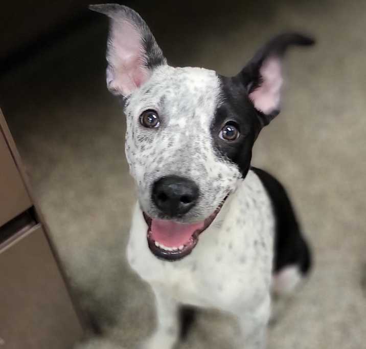 Photo of Princess Leia