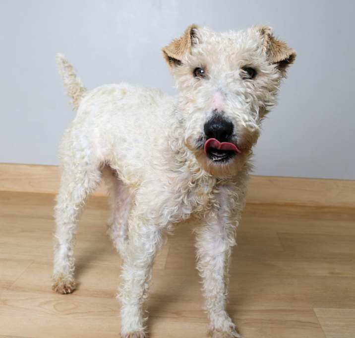 Photo of Billie D16137