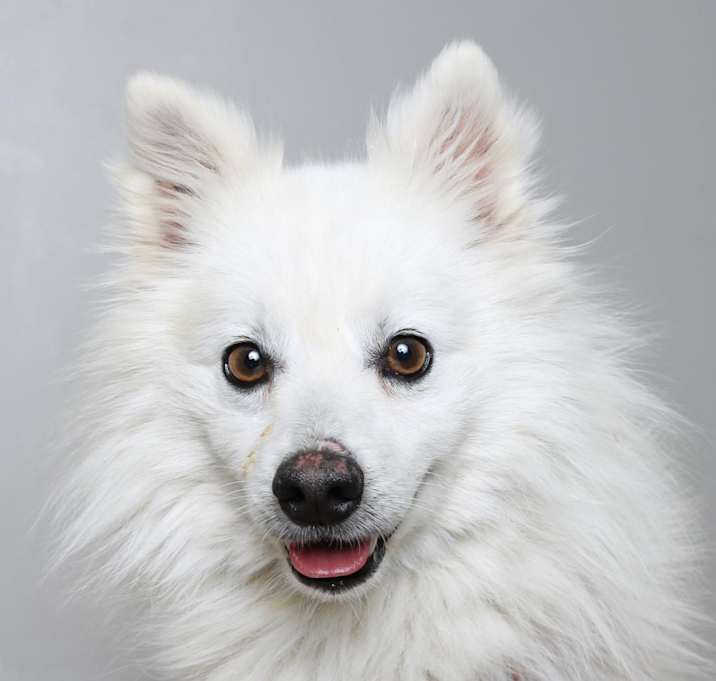 Photo of Collins D16143