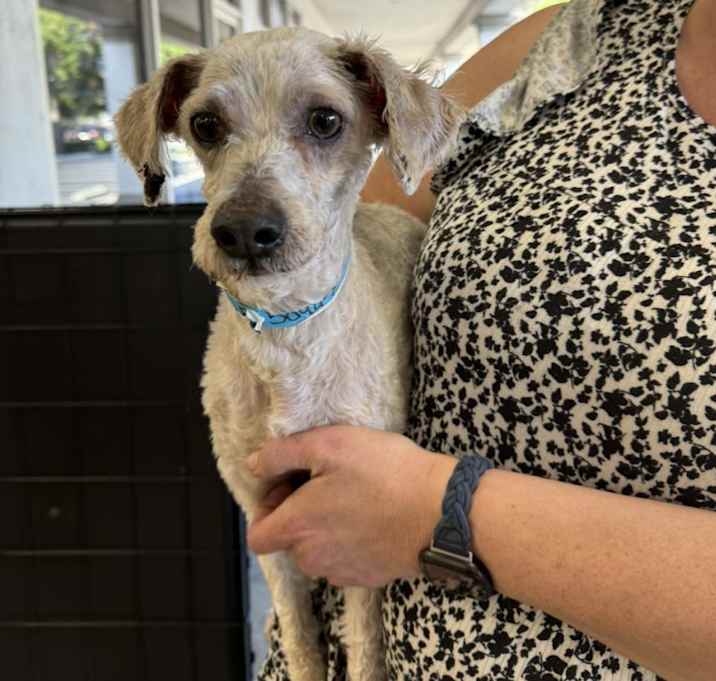 Photo of William - Claremont Location