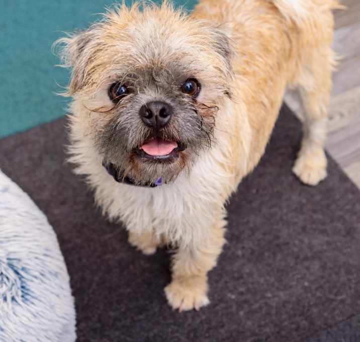 Photo of Mango Habanero