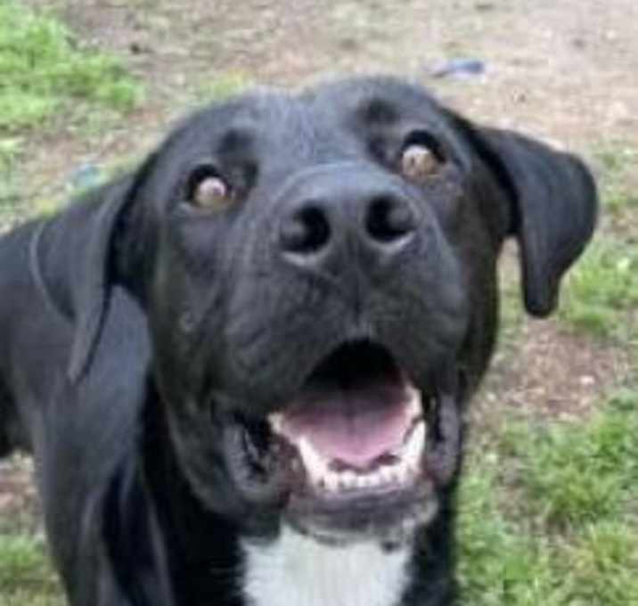 Photo of Johnny Cash