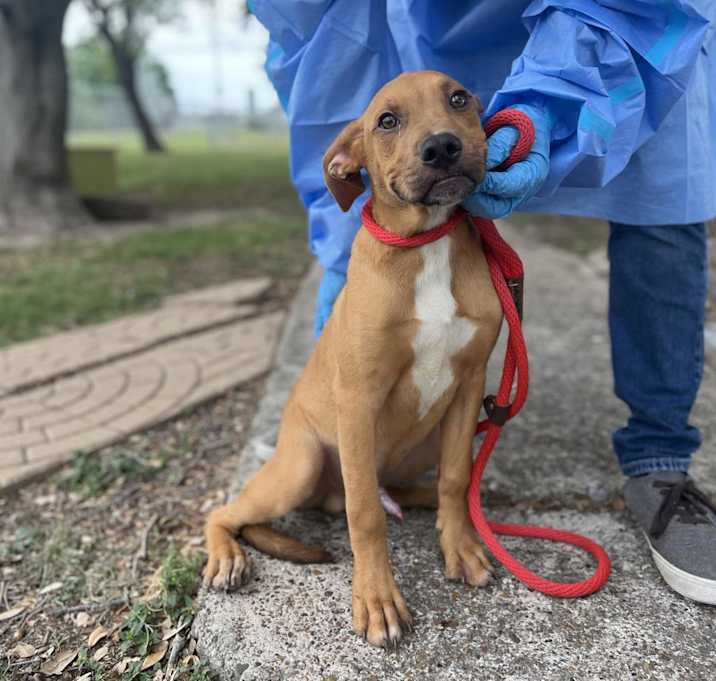 Photo of Funky Fresh