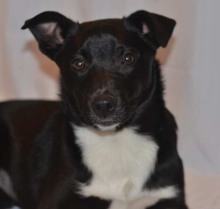 Photo of Jennifer D15902