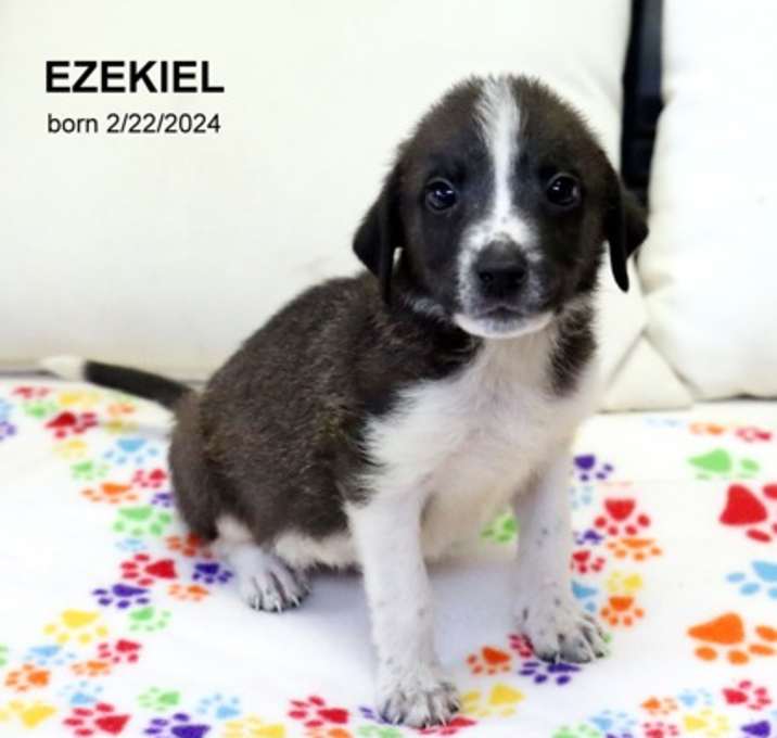 Photo of Ezekiel-5061