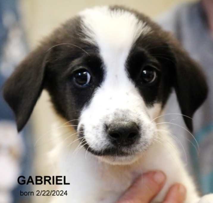 Photo of Gabriel-9668