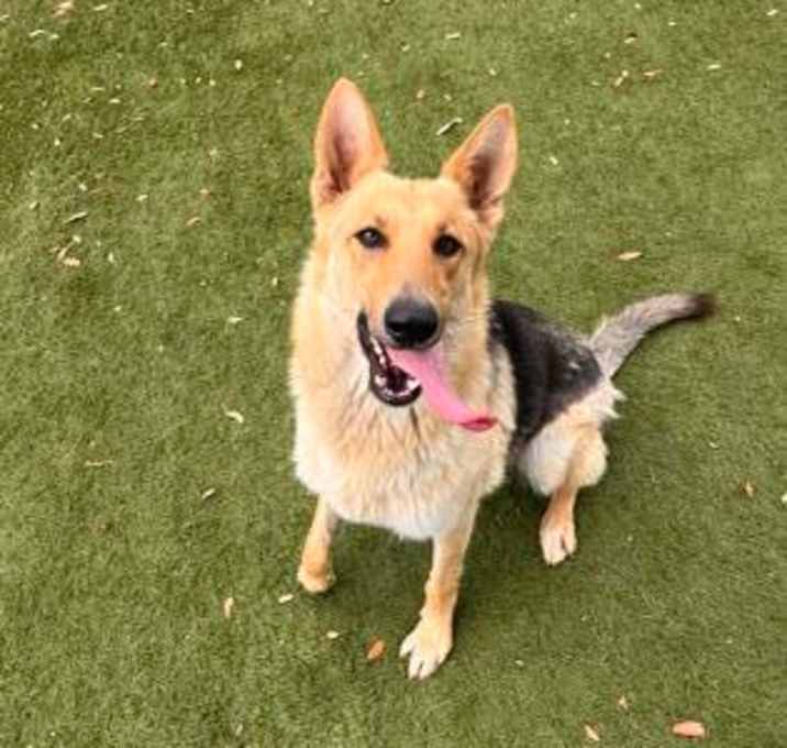 Photo of Hilary Honeycomb