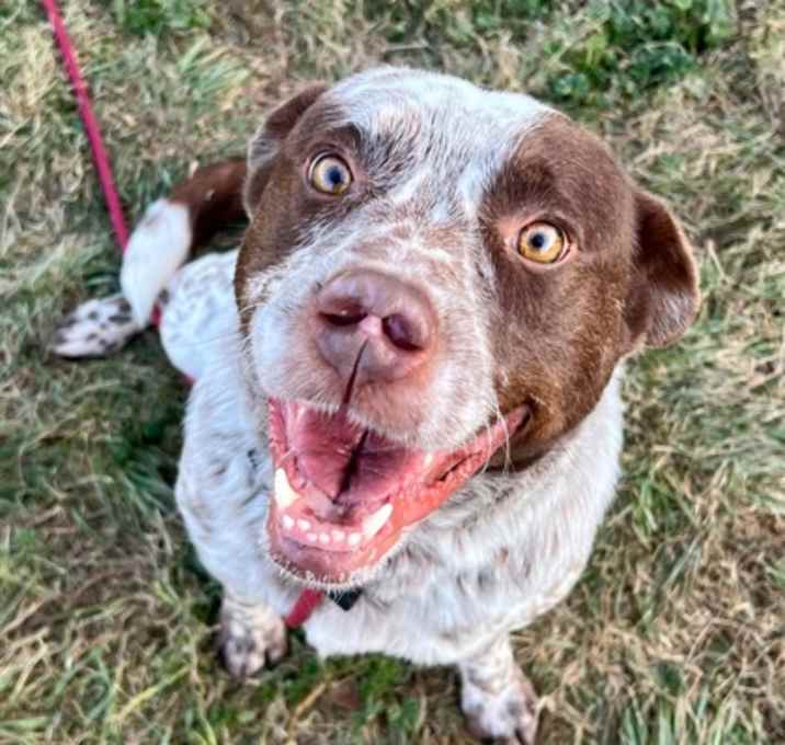 Photo of 83462 Geneva