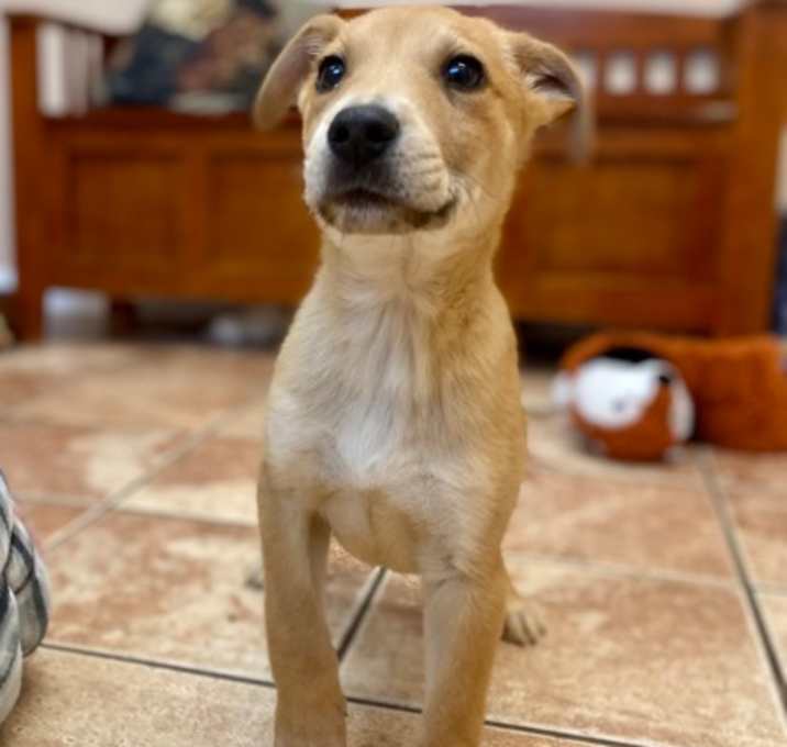 Photo of Robbie Rotten