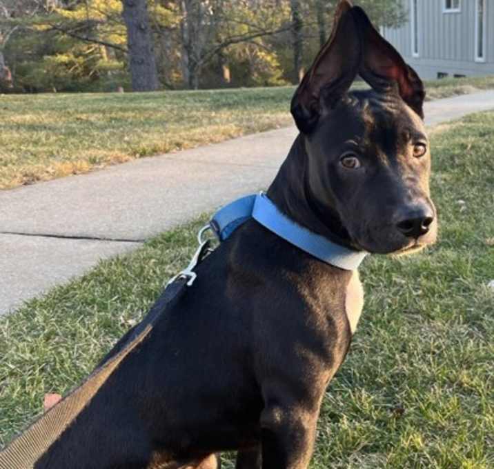 Photo of Clint Black