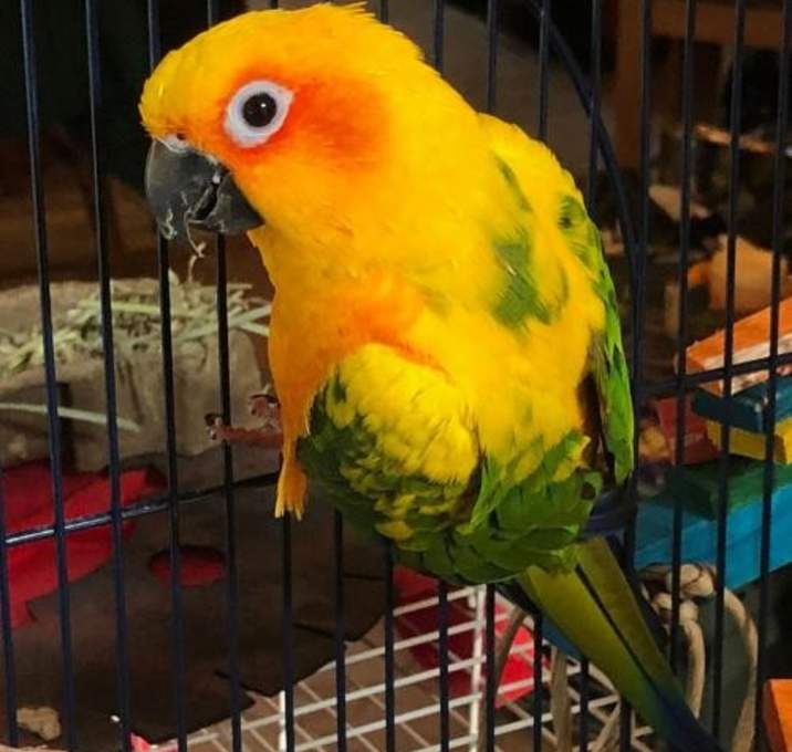 Photo of Paco-No Longer Accepting Applications