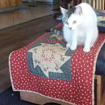 Thumbnail photo of Binki #2