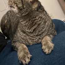 Thumbnail photo of Quincy #3