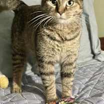 Thumbnail photo of Reese #4