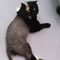Thumbnail photo of Bubs #2
