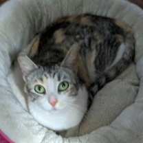Thumbnail photo of Karolina #3