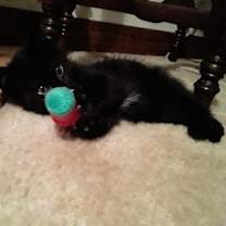 Thumbnail photo of Binky #4