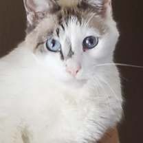 Thumbnail photo of Handsome #1