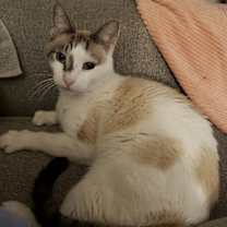 Thumbnail photo of Handsome #2