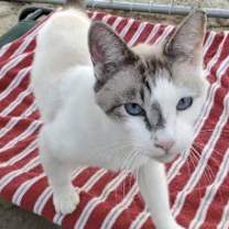 Thumbnail photo of Handsome #3