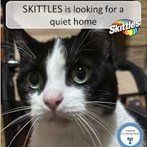 Thumbnail photo of Skittles #1