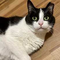 Thumbnail photo of Skittles #2