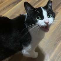 Thumbnail photo of Skittles #3