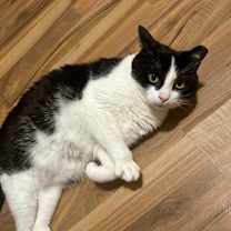 Thumbnail photo of Skittles #4