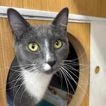 Thumbnail photo of Shelly #1