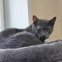 Thumbnail photo of Jim #1