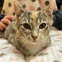 Thumbnail photo of Bertha #1