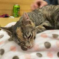 Thumbnail photo of Bertha #2