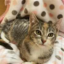 Thumbnail photo of Bertha #3
