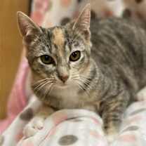 Thumbnail photo of Bertha #4