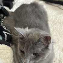 Thumbnail photo of MARILYN #4