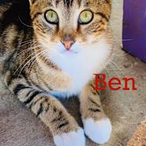 Thumbnail photo of Ben #1