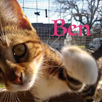 Thumbnail photo of Ben #2