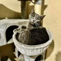 Thumbnail photo of Skeeter #2