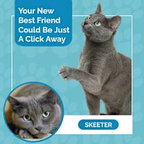 Thumbnail photo of Skeeter #3