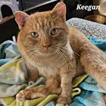 Thumbnail photo of Keegan #1