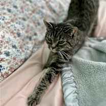 Thumbnail photo of Virginia #2