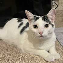 Thumbnail photo of Sugar #1