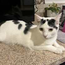 Thumbnail photo of Sugar #2