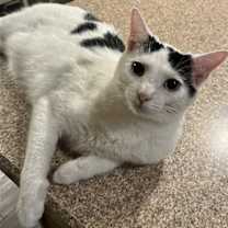 Thumbnail photo of Sugar #3