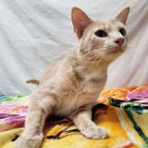 Thumbnail photo of Blake #1
