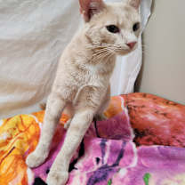 Thumbnail photo of Blake #2