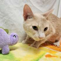 Thumbnail photo of Blake #4