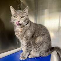 Thumbnail photo of LUNA #2